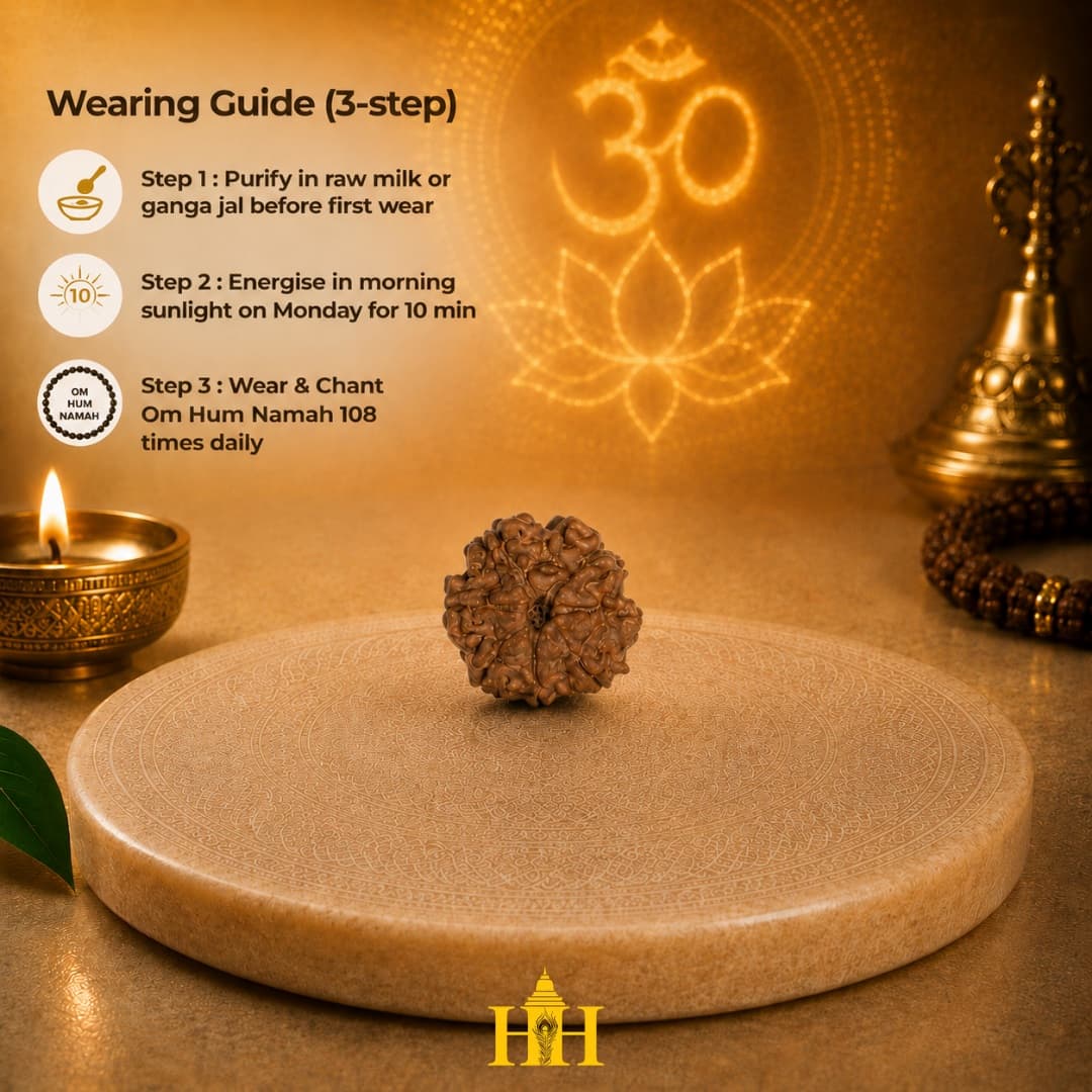 7 Mukhi Rudraksha Bead
