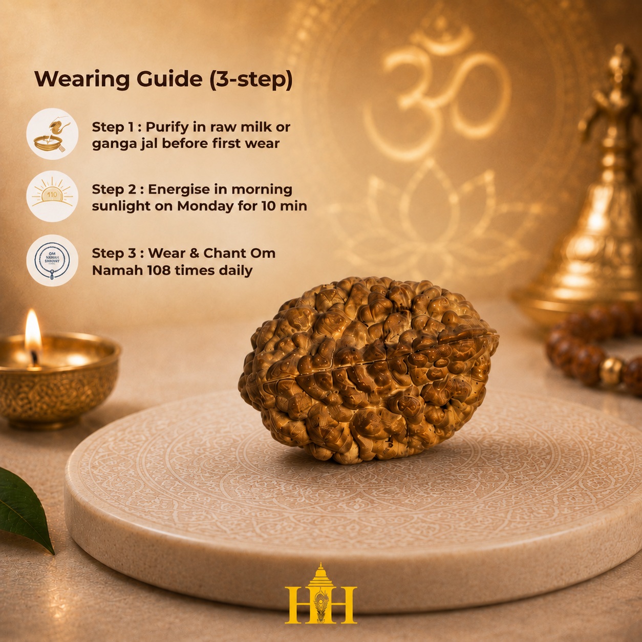 2 Mukhi Rudraksha Bead