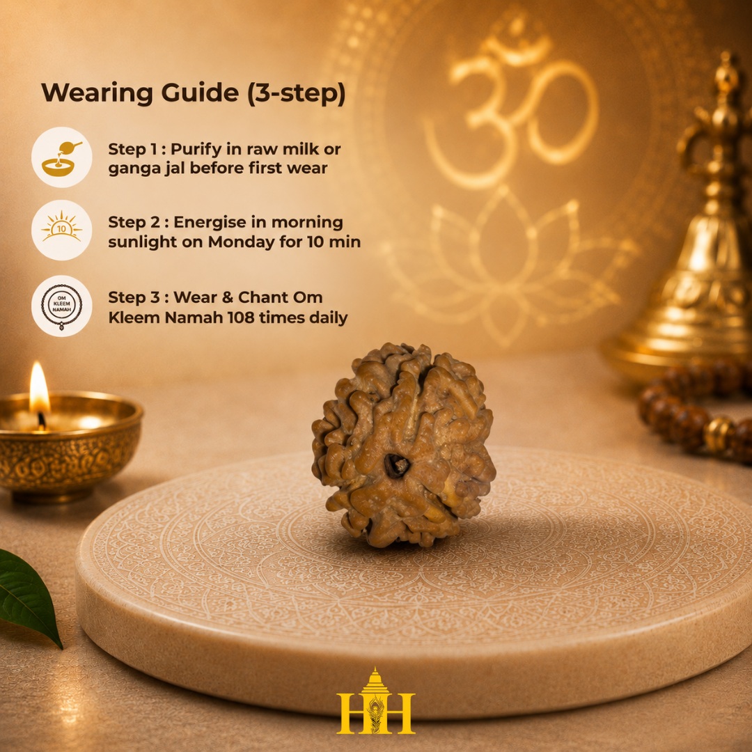 3 Mukhi Rudraksha Bead