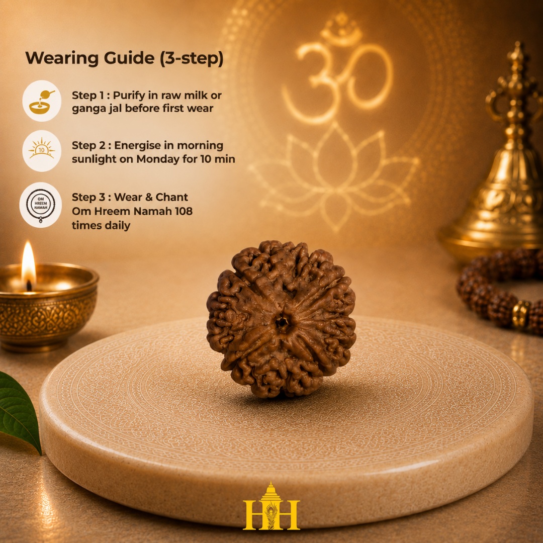 4 Mukhi Rudraksha Bead