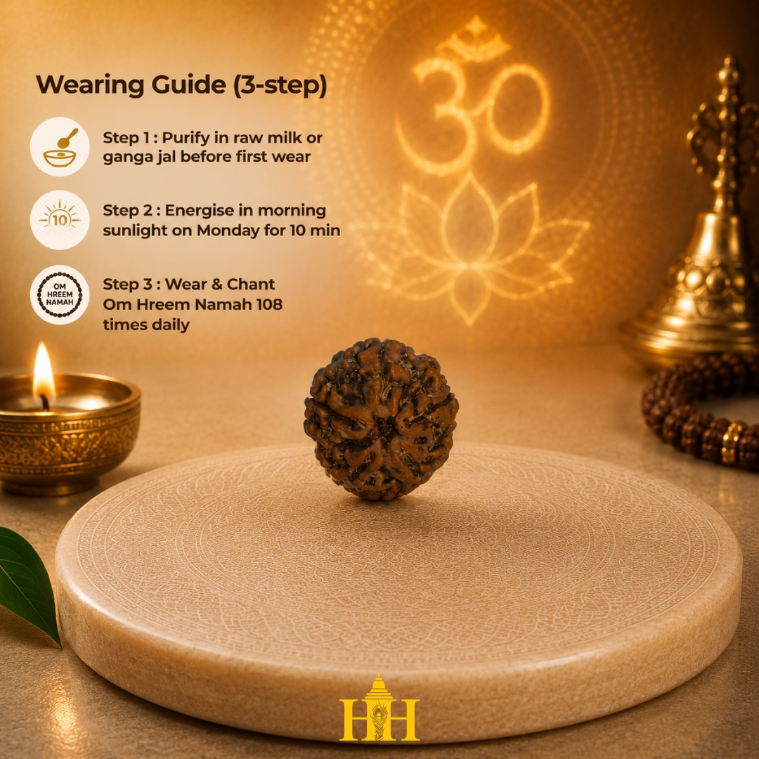 5 Mukhi Rudraksha Bead
