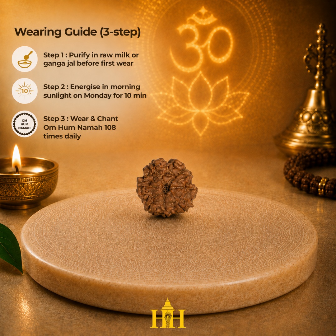 7 Mukhi Rudraksha Bead